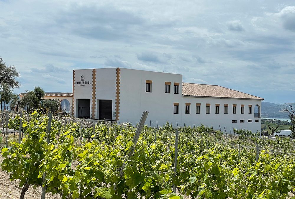 Campestral, la bodega de vinos ancestrales más grande de España